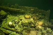 Phát hiện hàng trăm vật thể dưới đáy biển, cảnh sát lập tức vào cuộc