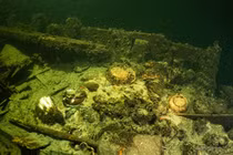 Phát hiện hàng trăm vật thể dưới đáy biển, cảnh sát lập tức vào cuộc