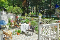 Biến mảnh sân cỏ mọc um tùm thành khu vườn đa sắc