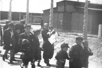 Giật mình loạt ảnh tưởng bình thường nhưng chứa đựng sự thật rùng rợn