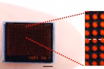 Camera mô phỏng mắt kép của côn trùng chụp ảnh siêu nét