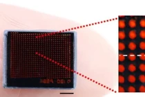 Camera mô phỏng mắt kép của côn trùng chụp ảnh siêu nét