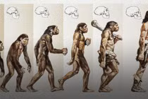 Bất ngờ danh tính “người mẹ” đầu tiên của tất cả loài người 