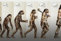 Bất ngờ danh tính “người mẹ” đầu tiên của tất cả loài người 