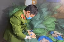 Hà Nội: Phát hiện 10 tấn thực phẩm đông lạnh bốc mùi hôi thối