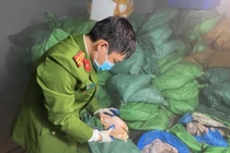 Hà Nội: Phát hiện 10 tấn thực phẩm đông lạnh bốc mùi hôi thối