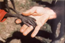 10 bức ảnh lịch sử khiến nhân loại "rụng tim" 