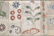 Bí ẩn cuốn sách được cho chứa lời tiên tri về nhân loại