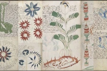 Bí ẩn cuốn sách được cho chứa lời tiên tri về nhân loại