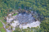 Bí ẩn vùng đầm lầy “nuốt cây” khiến chuyên gia rối não