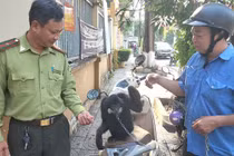 Người dân TP.HCM bàn giao cá thể vượn đen má trắng: Loài cực hiếm!