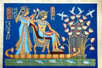 Sự thật ít biết loài hoa linh thiêng của người Ai Cập cổ đại