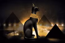 Vì sao mèo ở Ai Cập cổ đại được đối xử như thần linh? 