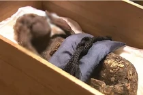 Chấn động lời giải về “xác ướp người cá” bí ẩn nhất Nhật Bản