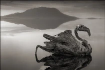 Rùng mình “hồ tử thần” khiến động vật sống trở thành xác ướp