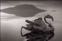 Rùng mình “hồ tử thần” khiến động vật sống trở thành xác ướp