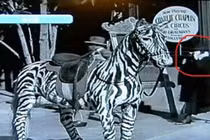 10 bức hình quái đản nhất hành tinh, lần nào xem cũng ám ảnh 