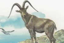 Dự đoán ngày mới 30/6/2024 cho 12 con giáp: Mão bận rộn, Mùi nỗ lực