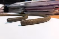 Nhặt được vòng cổ vỡ đôi, ai ngờ là báu vật vô song