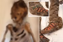 Bí ẩn gây tò mò về xác ướp “đi giày adidas"