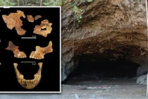 Điều rùng rợn về hài cốt trẻ em 8.000 tuổi không nguyên vẹn 