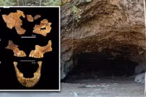 Điều rùng rợn về hài cốt trẻ em 8.000 tuổi không nguyên vẹn 