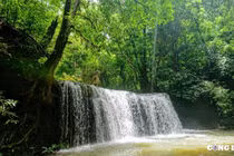 Vườn Quốc gia Bù Gia Mập - Tiếng gọi đầy mê hoặc của thiên nhiên