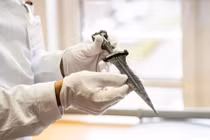 Bất ngờ tuổi đời loạt vũ khí cổ xưa vừa được tìm thấy