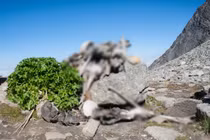 Giải mã sự thật hãi hùng về “hồ xương người” ở Ấn Độ