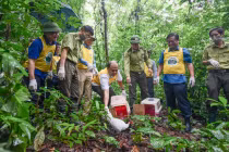 Tái thả động vật tại Vườn Quốc gia Cúc Phương: Hai loài quý hiếm