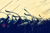 Bất ngờ lý do cung thủ thường bắn “cơn mưa” tên lên Trời