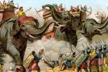 Bí mật đàn voi chiến hung dữ của thế giới cổ đại