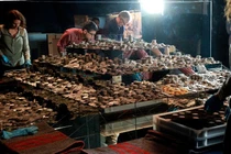 Dự án tìm kiếm xác tàu đắm vớt được kho báu 500 triệu USD