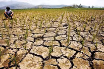 Vì sao chuyên gia cảnh báo El Nino khiến TG mất 3.000 tỷ USD?