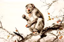 Dự đoán ngày mới 9/4/2025 cho 12 con giáp: Thân trúng đậm