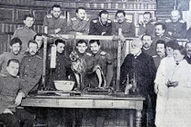 Nhà khoa học tạo ra cuộc cách mạng nhờ thí nghiệm trên chó