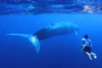 Kinh ngạc 10 điều khó tin nhưng hoàn toàn có thật trong lịch sử 