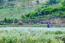 Chuyến phượt Hà Giang tự túc 4 ngày 4 đêm bằng xe máy