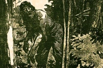 Quái thú bí ẩn reo giắc nỗi sợ hãi cho dân Mỹ thế kỷ 19