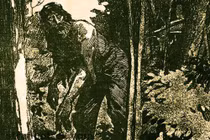 Quái thú bí ẩn reo giắc nỗi sợ hãi cho dân Mỹ thế kỷ 19