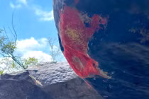 Lý giải hiện tượng “đá nở hoa” ở Quảng Nam