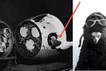 Sự thật ngỡ ngàng về hai dự án quân sự tuyệt mật của Mỹ