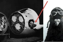 Sự thật ngỡ ngàng về hai dự án quân sự tuyệt mật của Mỹ