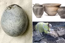  Tìm thấy 4 quả trứng 1.700 tuổi, chuyên gia thót tim