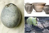  Tìm thấy 4 quả trứng 1.700 tuổi, chuyên gia thót tim