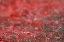 Những “cơn mưa máu” dội xuống Trái đất: Dính dáng tới người ngoài hành tinh? 