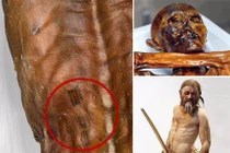 Bí ẩn hình xăm trên xác ướp tự nhiên cổ nhất thế giới