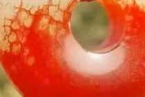 Mở mộ cổ, chuyên gia tái mặt vì khối huyết ngọc “ma quái” 