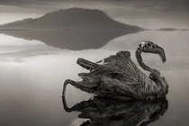 Bí mật ẩn giấu trong 5 vùng đất tử thần khắc nghiệt nhất thế giới 