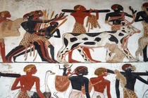 Khai quật mộ cổ 4.000 tuổi, hé lộ bí mật động trời